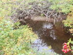 Multiple Culvert Crossing, Deer Isle, Maine