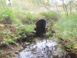 Culvert Crossing, Deer Isle, Maine