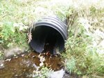Culvert Crossing, Deer Isle, Maine