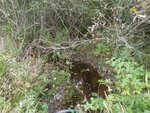 Culvert Crossing, Deer Isle, Maine