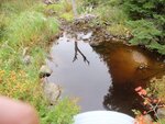 Culvert Crossing, Torrie Brook, Deer Isle, Maine