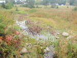 Culvert Crossing, Torrie Brook, Deer Isle, Maine