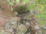 Culvert Crossing, Deer Isle, Maine