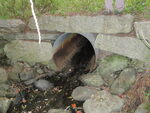 Culvert Crossing, Deer Isle, Maine