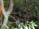 Culvert Crossing, Deer Isle, Maine
