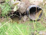 Multiple Culvert Crossing, Stonington, Maine