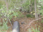 Culvert Crossing, Deer Isle, Maine