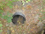 Culvert Crossing, Deer Isle, Maine
