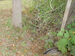 Culvert Crossing, Deer Isle, Maine