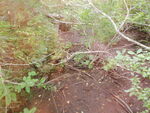 Culvert Crossing, Deer Isle, Maine