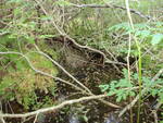 Culvert Crossing, Stonington, Maine