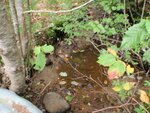 Culvert Crossing, Deer Isle, Maine