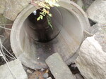 Culvert Crossing, Deer Isle, Maine