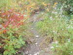 Multiple Culvert Crossing, Deer Isle, Maine