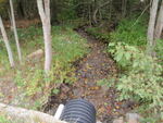 Culvert Crossing, Stonington, Maine