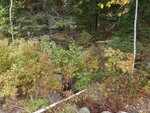 Culvert Crossing, Brooksville, Maine