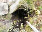 Culvert Crossing, Brooksville, Maine