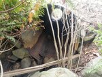 Culvert Crossing, Brooksville, Maine
