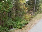 Culvert Crossing, Brooksville, Maine