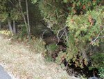 Culvert Crossing, Brooksville, Maine