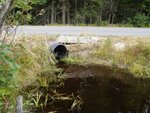 Culvert Crossing, Brooksville, Maine