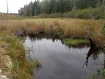 Culvert Crossing, Brooksville, Maine