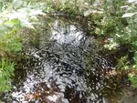 Culvert Crossing, Browns Brook, Aurora, Maine