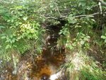 Culvert Crossing, Browns Brook, Aurora, Maine