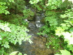 Culvert Crossing, Aurora, Maine