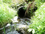 Culvert Crossing, Aurora, Maine