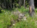 Culvert Crossing, Devereaux Twp, Maine