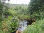 Culvert Crossing, Amherst, Maine