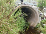 Culvert Crossing, Amherst, Maine