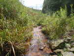 Culvert Crossing, Clifton, Maine