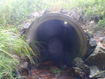 Culvert Crossing, Clifton, Maine