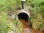 Culvert Crossing, Clifton, Maine