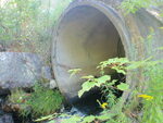 Culvert Crossing, Dedham, Maine
