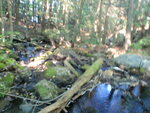 Culvert Crossing, Dedham, Maine