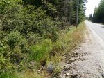 Multiple Culvert Crossing, Columbia, Maine