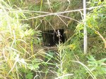 Culvert Crossing, Columbia, Maine
