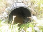 Culvert Crossing, Columbia, Maine