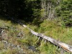 Culvert Crossing, Columbia, Maine