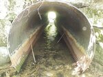 Culvert Crossing, Bells Brook, Columbia, Maine
