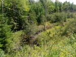 Culvert Crossing, Columbia, Maine
