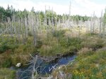 Culvert Crossing, Columbia, Maine