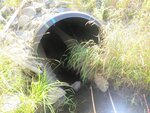 Culvert Crossing, Columbia, Maine