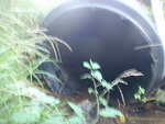 Culvert Crossing, Columbia, Maine
