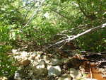 Culvert Crossing, Columbia, Maine