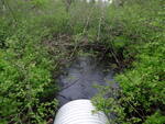 Multiple Culvert Crossing, Cherryfield, Maine
