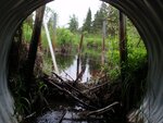 Multiple Culvert Crossing, Cherryfield, Maine